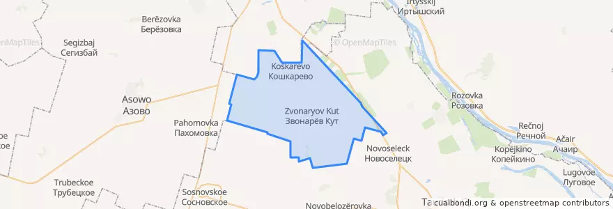 Mapa de ubicacion de Звонарёвокутское сельское поселение.