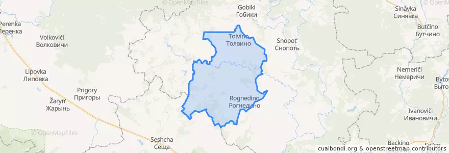 Mapa de ubicacion de Рогнединское городское поселение.