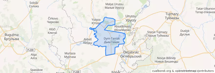 Mapa de ubicacion de Дым-Тамакское сельское поселение.