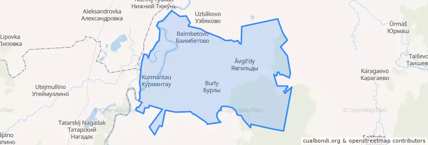 Mapa de ubicacion de Бурлинский сельсовет.