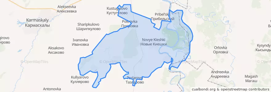 Mapa de ubicacion de Новокиешкинский сельсовет.