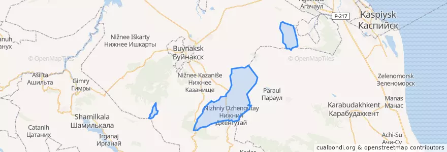 Mapa de ubicacion de сельское поселение Село Нижний Дженгутай.