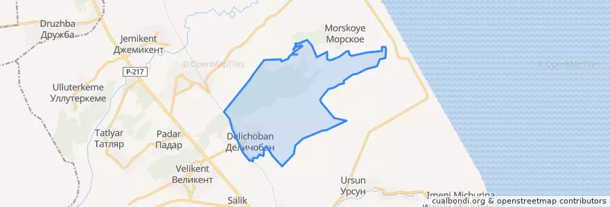 Mapa de ubicacion de сельское поселение Село Деличобан.