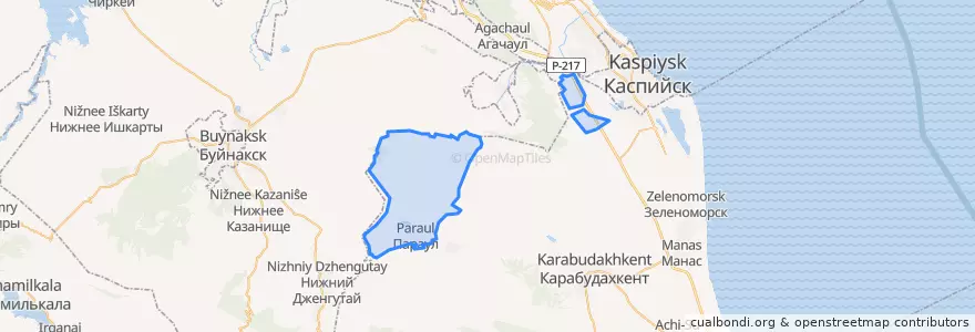 Mapa de ubicacion de сельское поселение Село Параул.