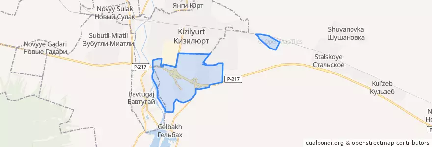 Mapa de ubicacion de сельское поселение Село Нижний Чирюрт.