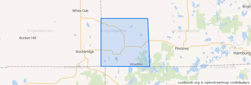 Mapa de ubicacion de Unadilla Township.