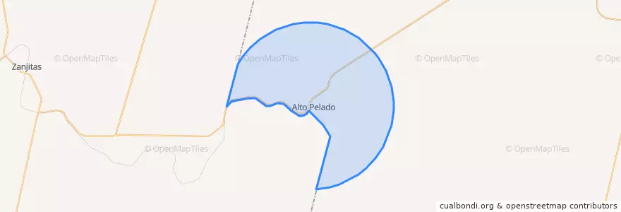 Mapa de ubicacion de Comisión Municipal de Alto Pelado.
