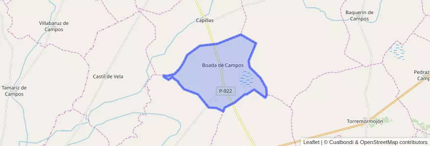 Mapa de ubicacion de Boada de Campos.