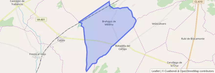 Mapa de ubicacion de Brahojos de Medina.