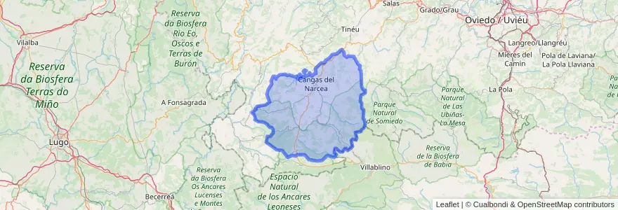 Mapa de ubicacion de Cangas del Narcea.