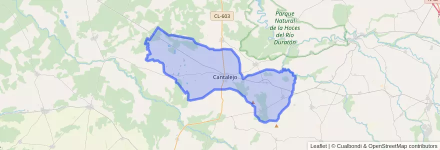 Mapa de ubicacion de Cantalejo.