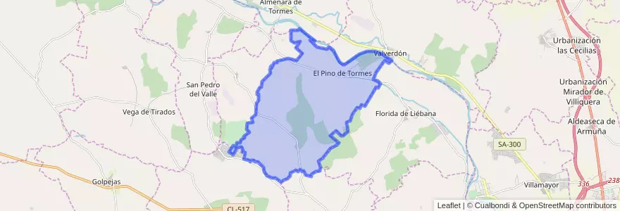 Mapa de ubicacion de El Pino de Tormes.