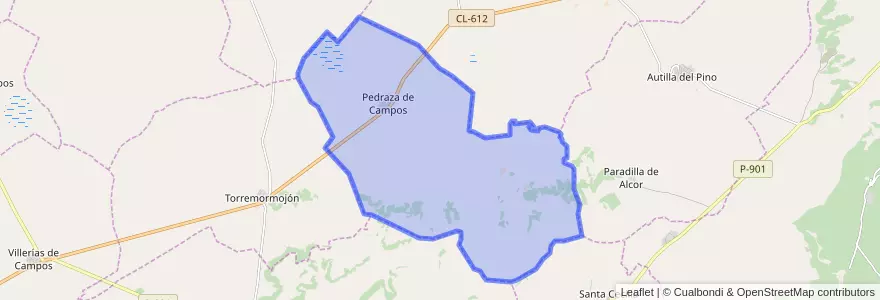 Mapa de ubicacion de Pedraza de Campos.
