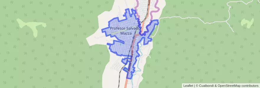 Mapa de ubicacion de Profesor Salvador Mazza.