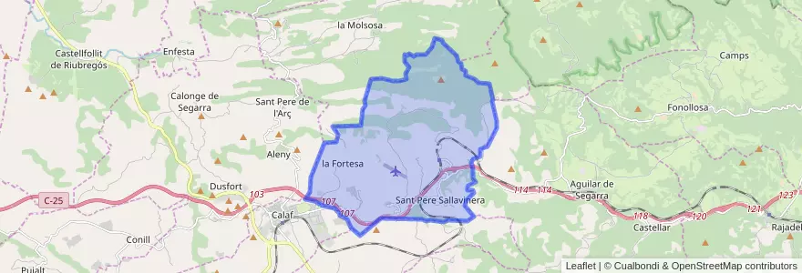 Mapa de ubicacion de Sant Pere Sallavinera.
