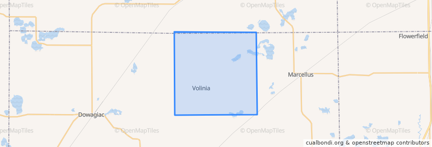 Mapa de ubicacion de Volinia Township.