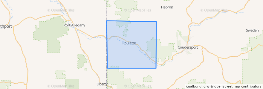 Mapa de ubicacion de Roulette Township.