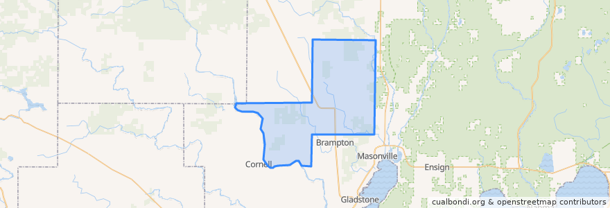 Mapa de ubicacion de Baldwin Township.