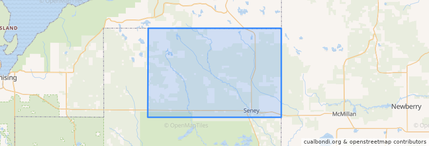 Mapa de ubicacion de Seney Township.