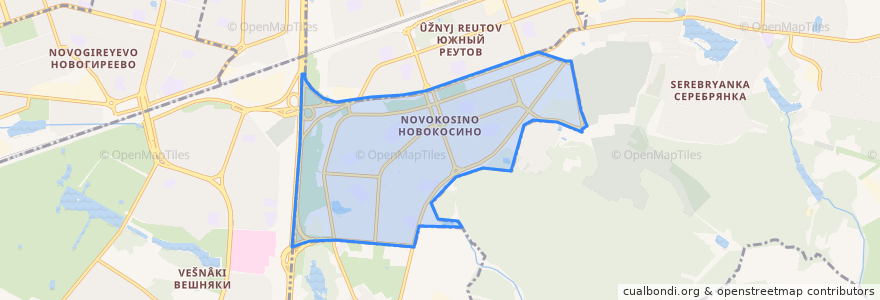 Mapa de ubicacion de район Новокосино.