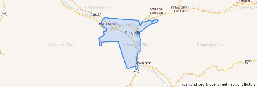 Mapa de ubicacion de Pineville.