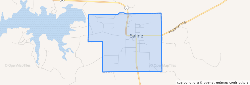 Mapa de ubicacion de Saline.