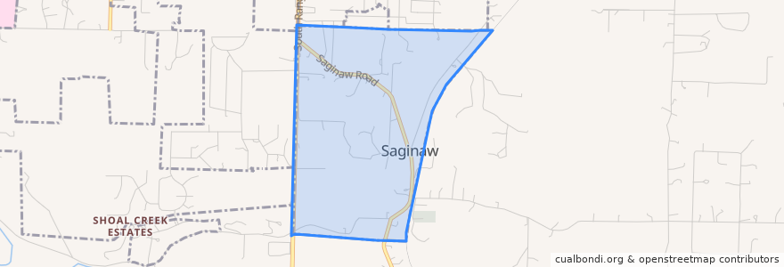 Mapa de ubicacion de Saginaw.