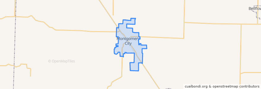 Mapa de ubicacion de Montgomery City.