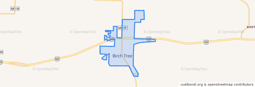 Mapa de ubicacion de Birch Tree.