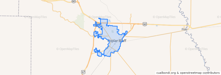 Mapa de ubicacion de Poplar Bluff.