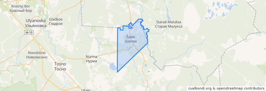 Mapa de ubicacion de Шапкинское сельское поселение.