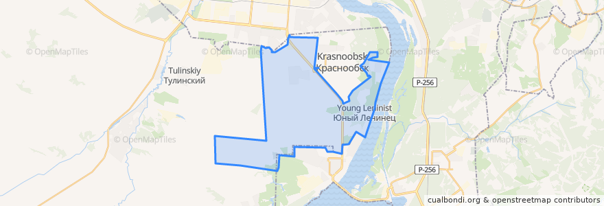 Mapa de ubicacion de Мичуринский сельсовет.