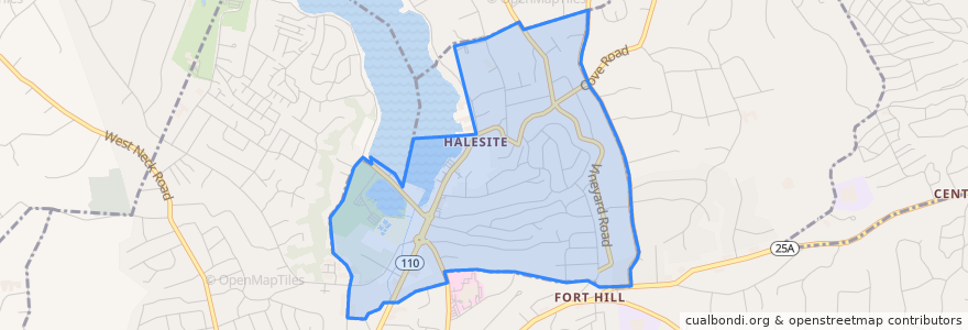 Mapa de ubicacion de Halesite.