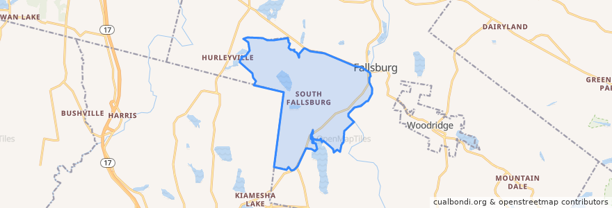 Mapa de ubicacion de South Fallsburg.