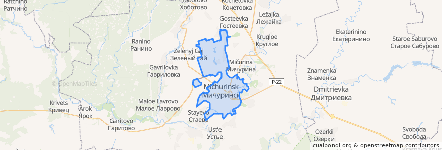 Mapa de ubicacion de городской округ Мичуринск.