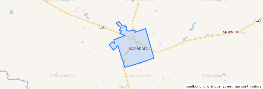 Mapa de ubicacion de Roseboro.