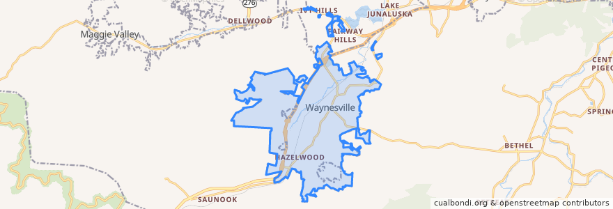 Mapa de ubicacion de Waynesville.