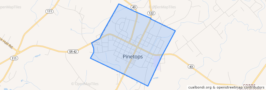 Mapa de ubicacion de Pinetops.