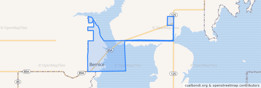 Mapa de ubicacion de Bernice.
