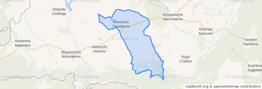 Mapa de ubicacion de сельское поселение Село Пеневичи.