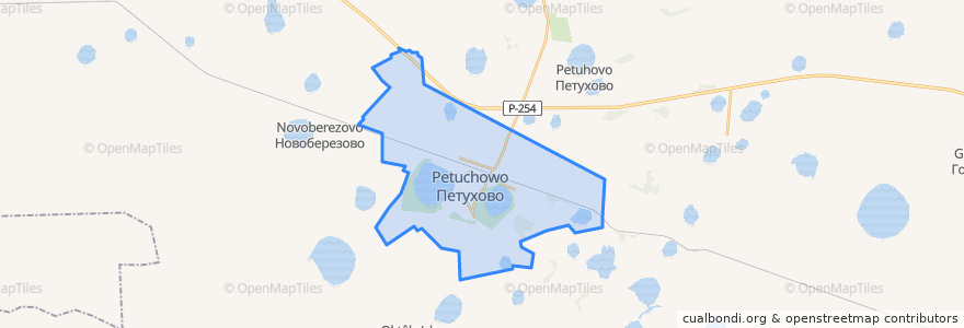 Mapa de ubicacion de городское поселение Петухово.