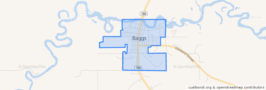 Mapa de ubicacion de Baggs.