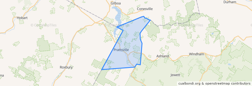 Mapa de ubicacion de Town of Prattsville.