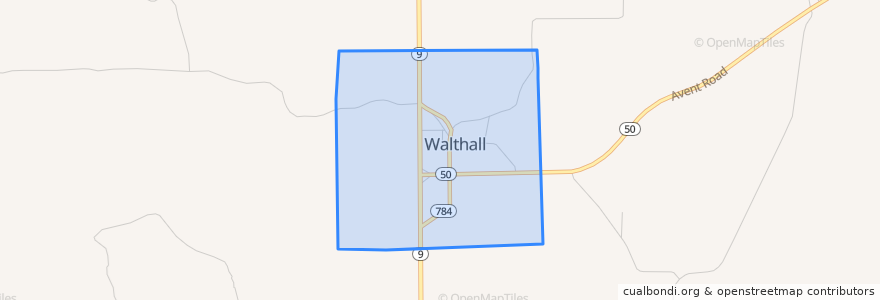 Mapa de ubicacion de Walthall.