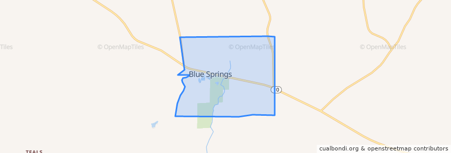 Mapa de ubicacion de Blue Springs.