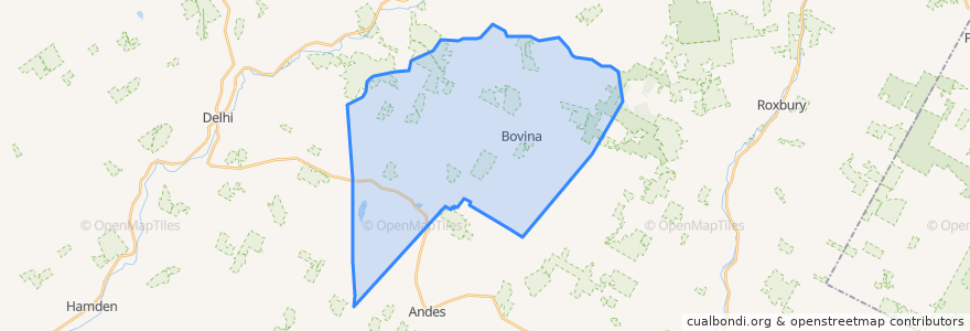 Mapa de ubicacion de Town of Bovina.