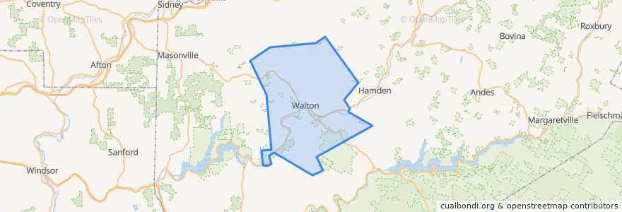 Mapa de ubicacion de Town of Walton.