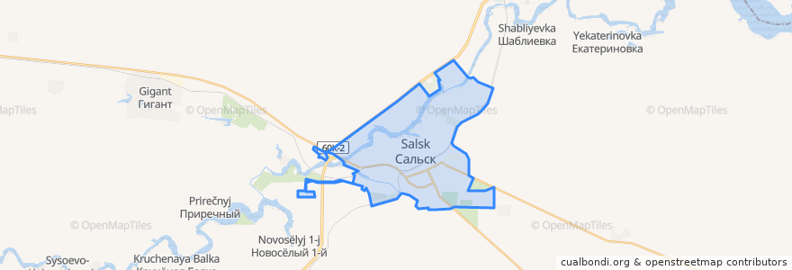 Mapa de ubicacion de Сальское городское поселение.