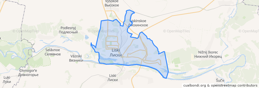 Mapa de ubicacion de городское поселение Лиски.