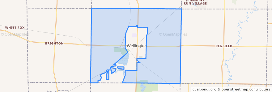 Mapa de ubicacion de Wellington Township.